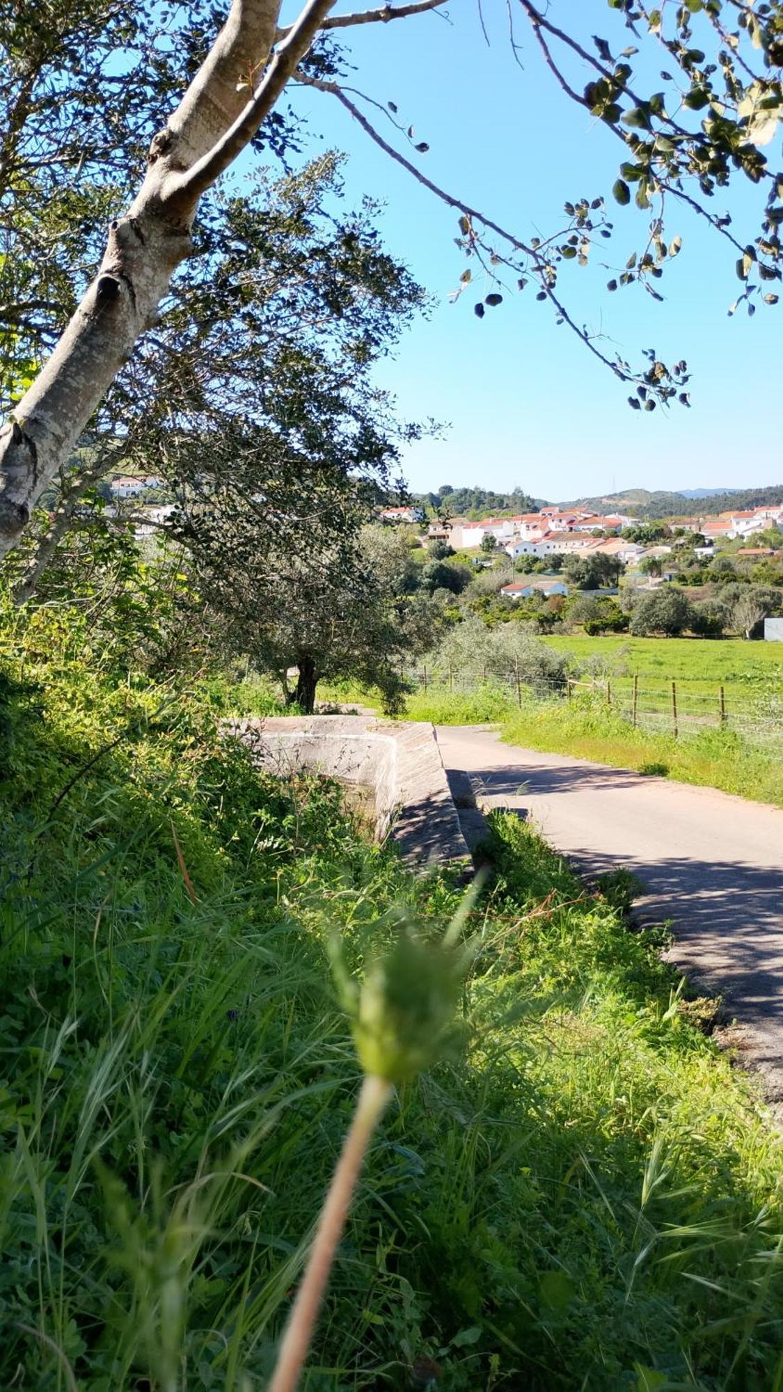 Casinha Do Repouso Βίλα São Bartolomeu de Messines Εξωτερικό φωτογραφία